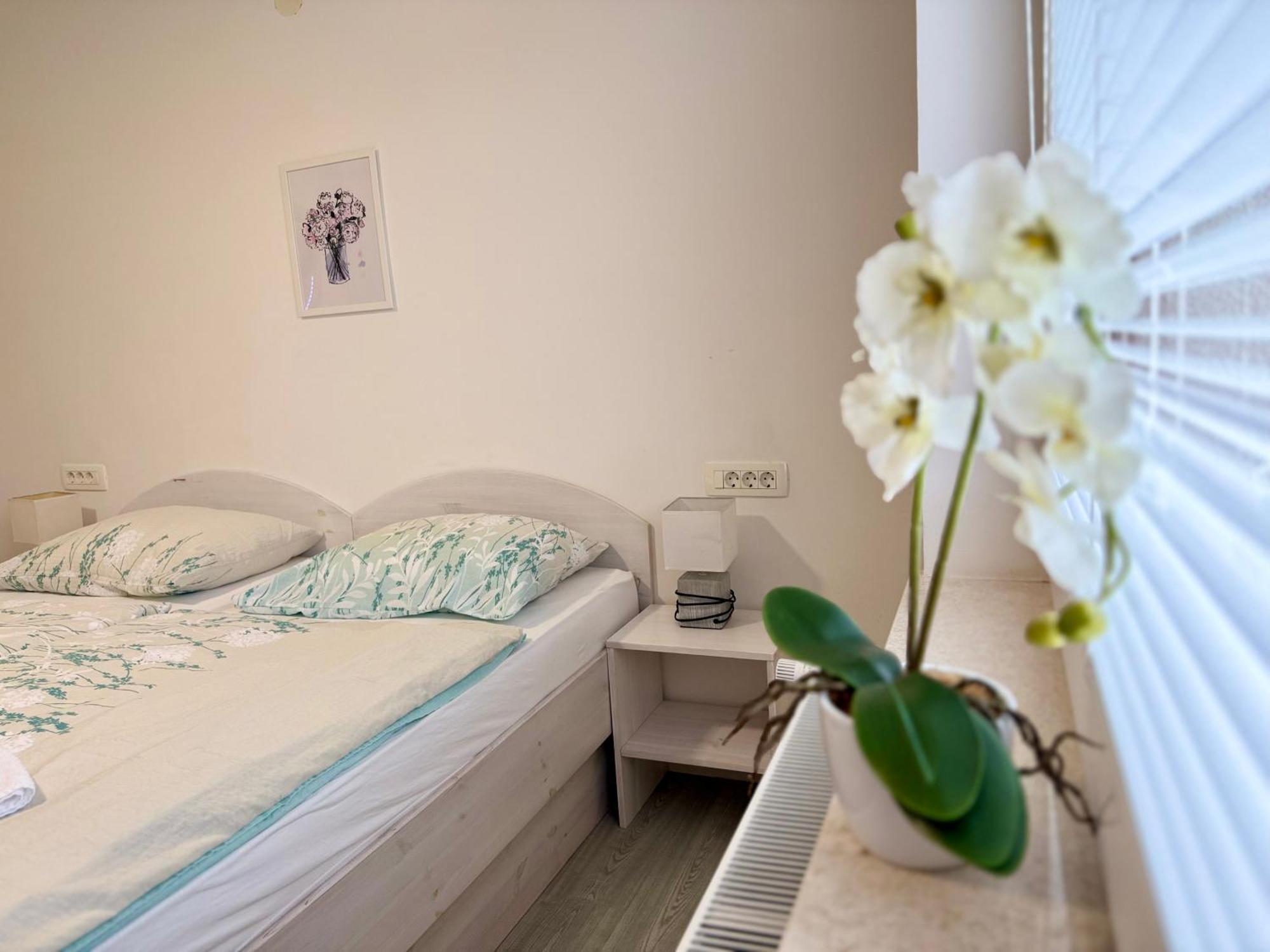Guest House Kobal Spodnje Gorje Экстерьер фото