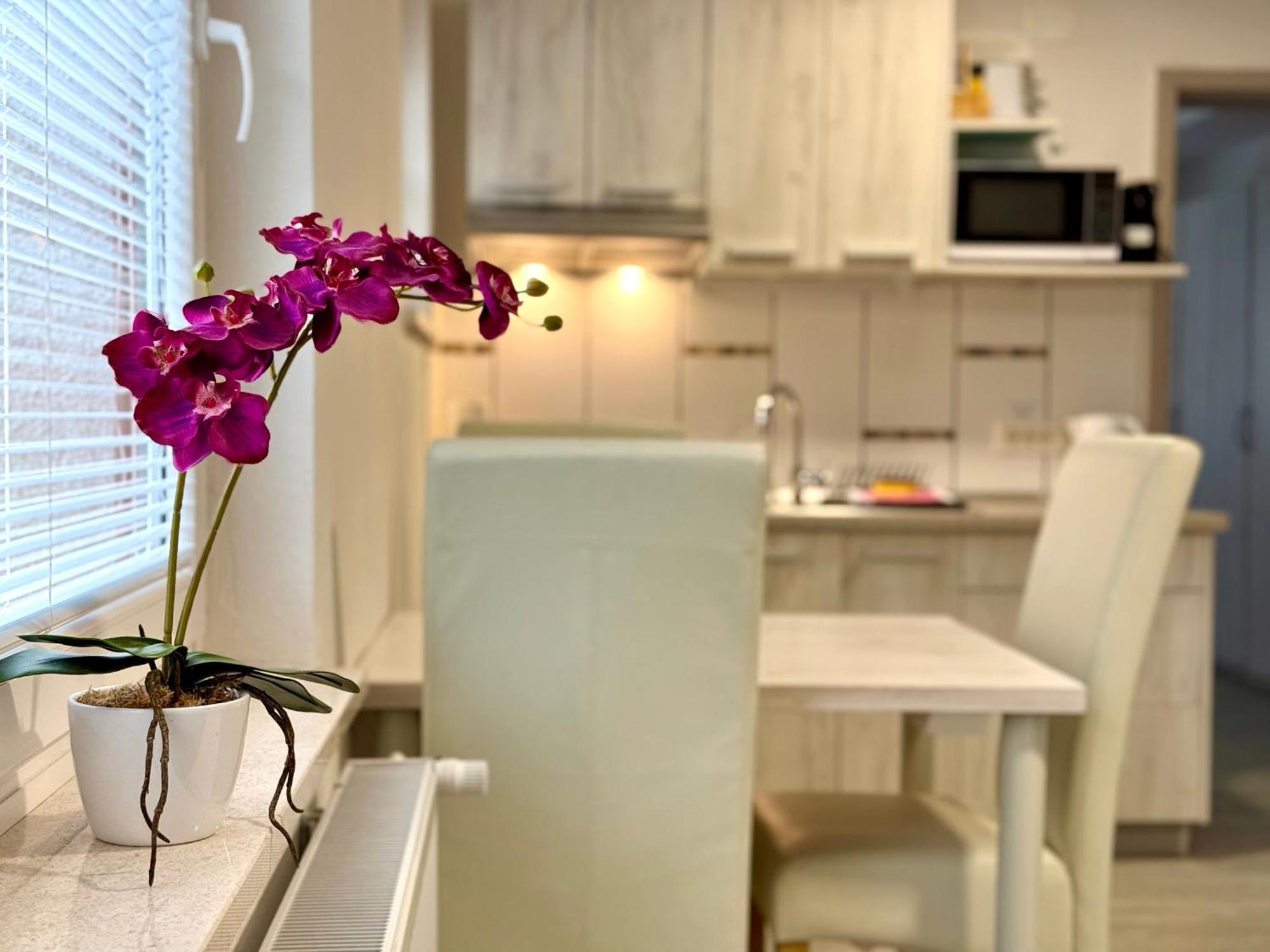 Guest House Kobal Spodnje Gorje Экстерьер фото